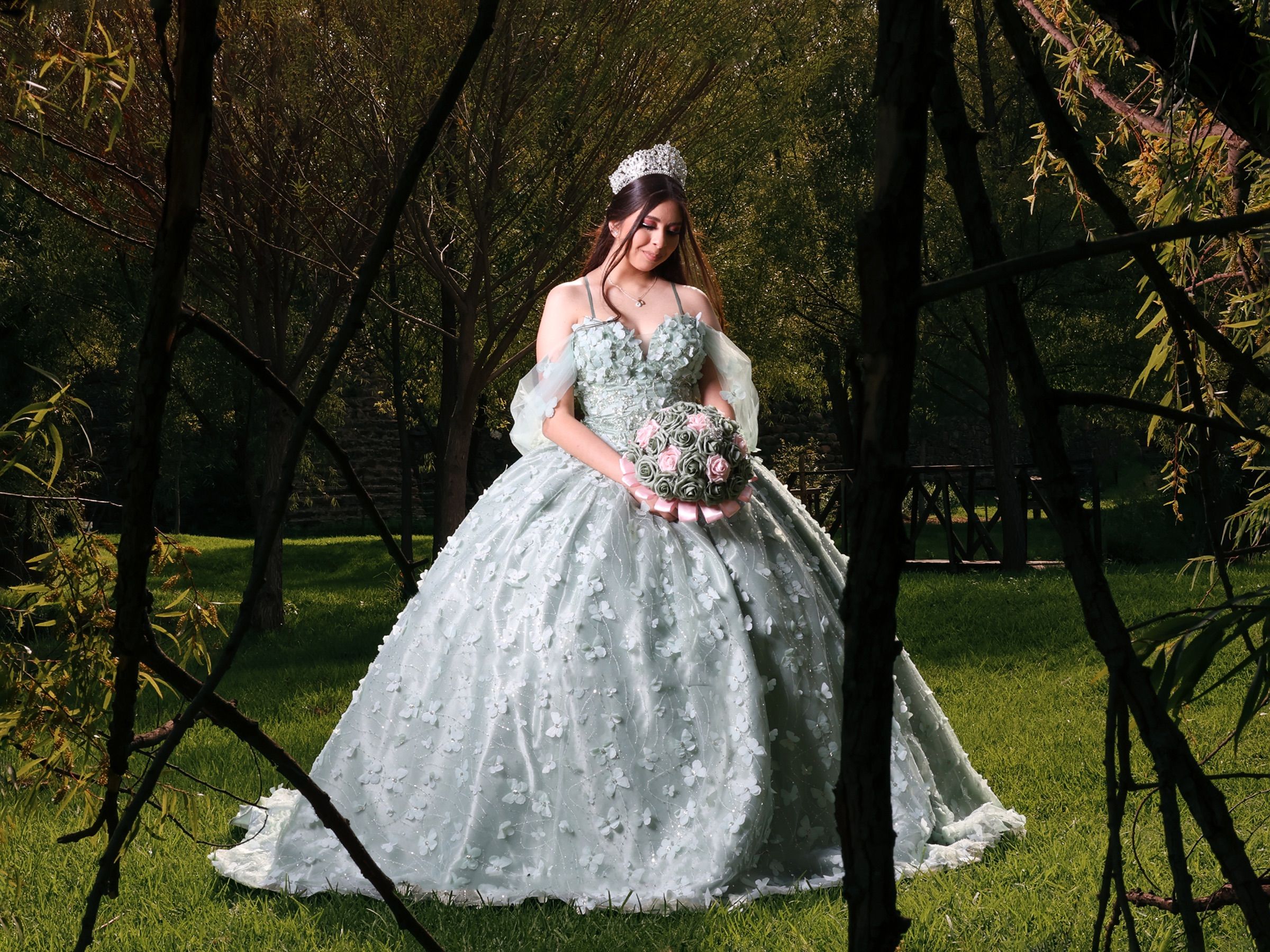 Fairytale Goddess Ball Gown Wedding Dress