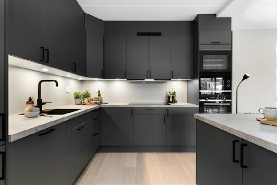 Modern Black Kitchen with Neat Finishes